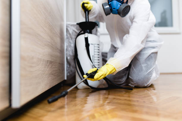 Best Emergency Pest Control  in Seneca Knolls, NY
