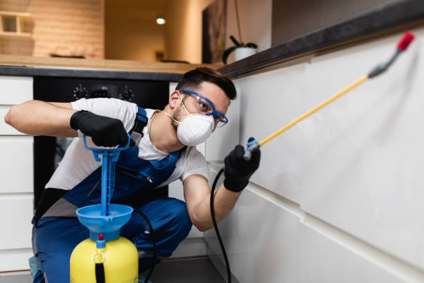 Best Pest Control Near Me in Seneca Knolls, NY