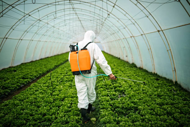Best Residential Pest Control  in Seneca Knolls, NY
