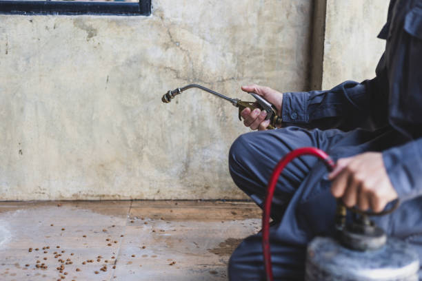 Best Pest Control Treatment  in Seneca Knolls, NY