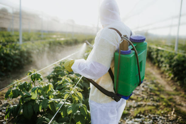 Best Mosquito Control Services  in Seneca Knolls, NY
